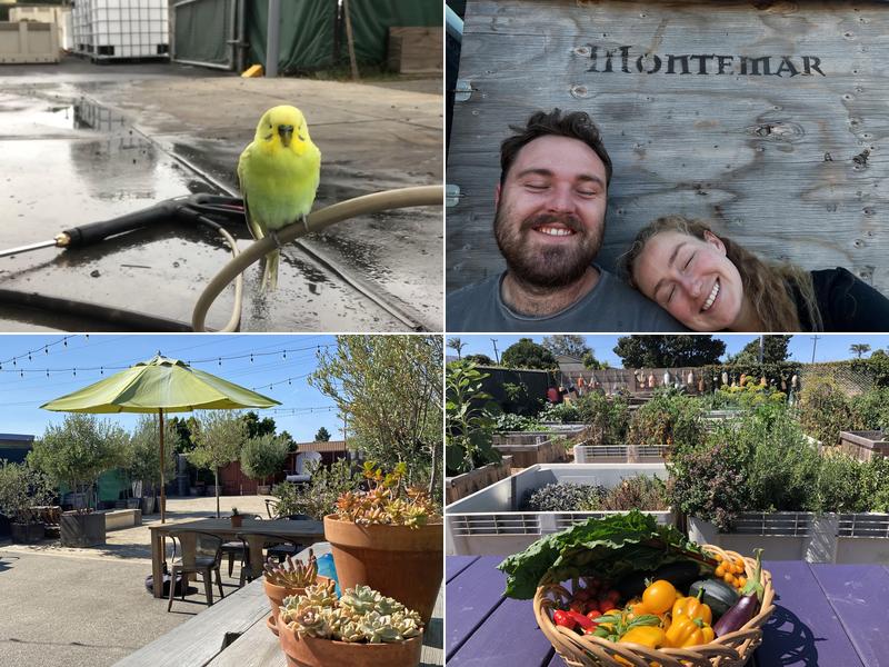 Montemar Wines 1501 E Chestnut Ct Ste E, Lompoc