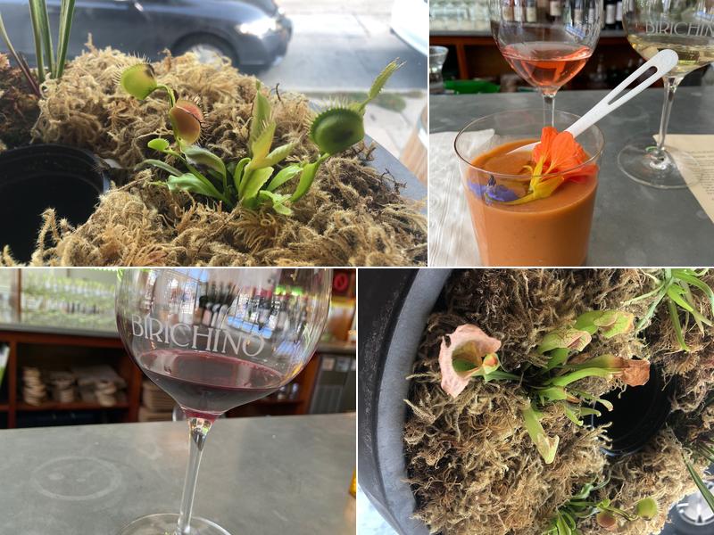 Birichino Winery Tasting Room