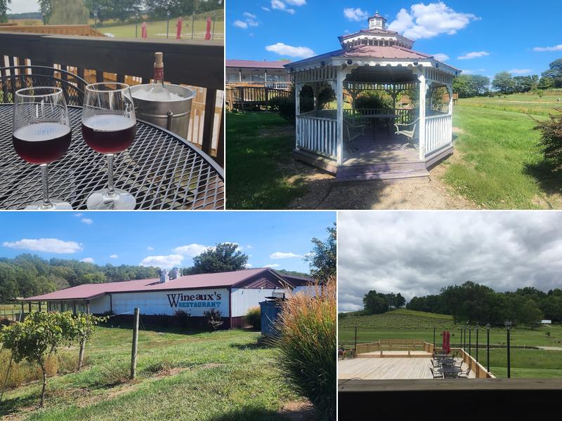 Cache River Basin Vineyard & Winery 315 Forman Ln, Belknap