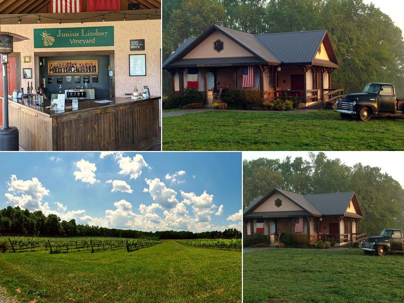 Junius Lindsay Vineyard