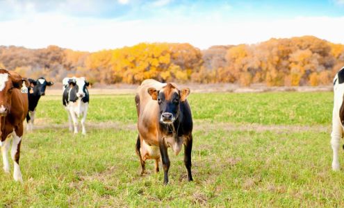 De Smet Dairy and Creamery Bosque Farms