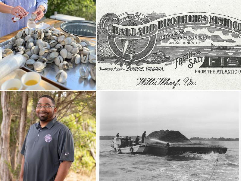Cherrystone Aqua-Farms - Willis Wharf Hatchery