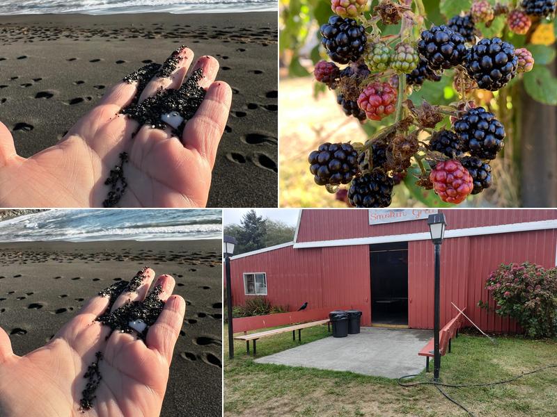 The KCC Grill 18151 US-101, Klamath