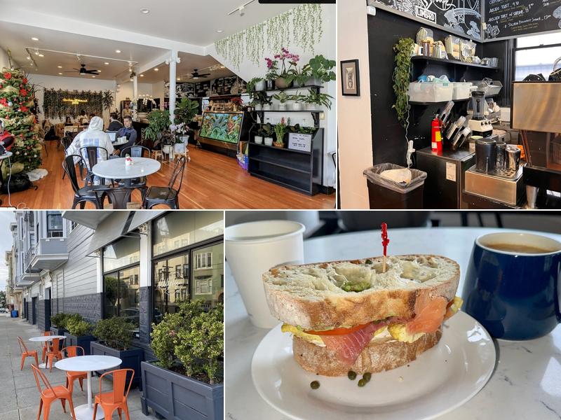 Fiddle Fig Cafe & Coffee