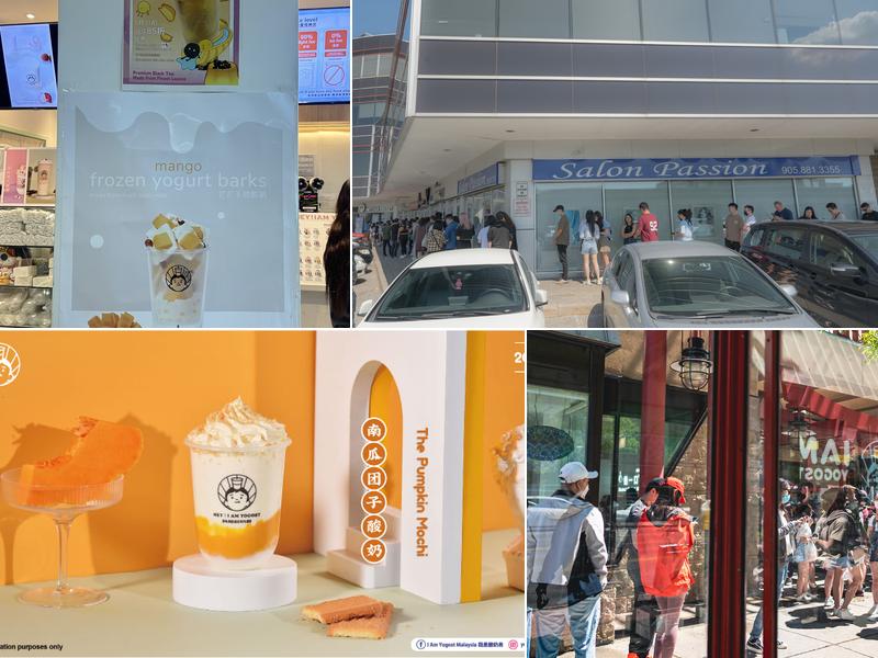 Hey I am Yogost 我是酸奶君