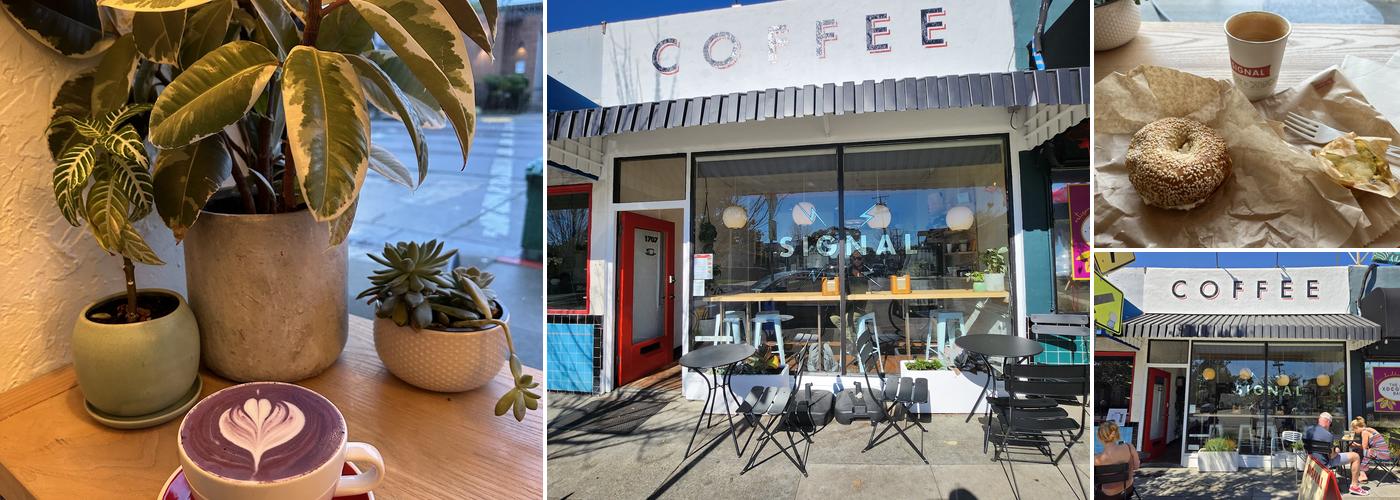 SIGNAL Coffee Roasters