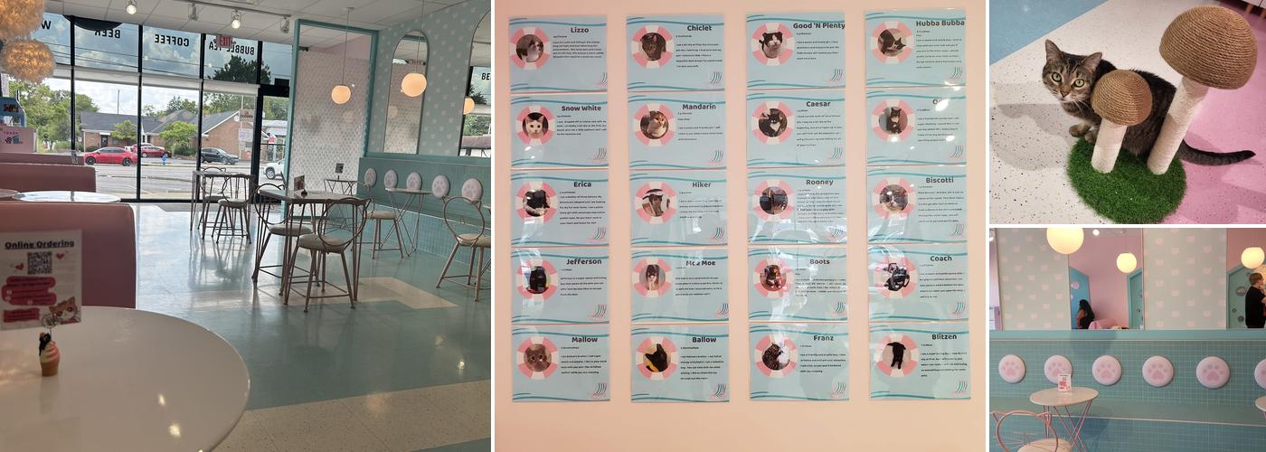 Kitty Bubble Cafe & Bar Menu