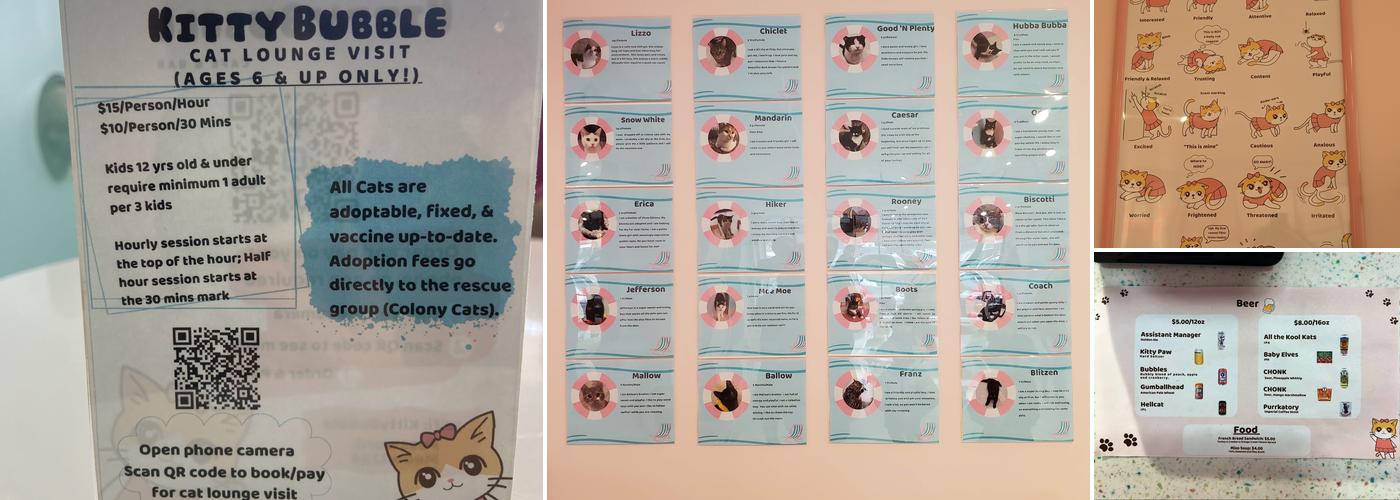 Kitty Bubble Cafe & Bar Menu