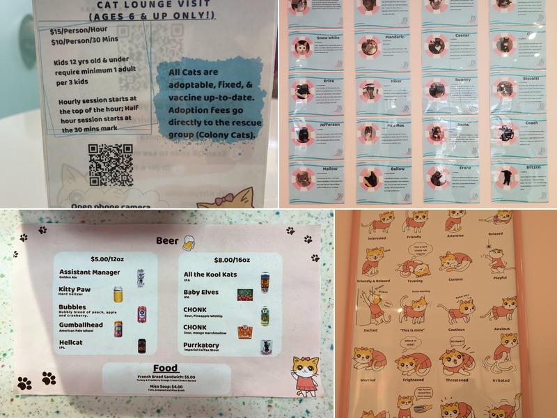 Kitty Bubble Cafe & Bar Menu
