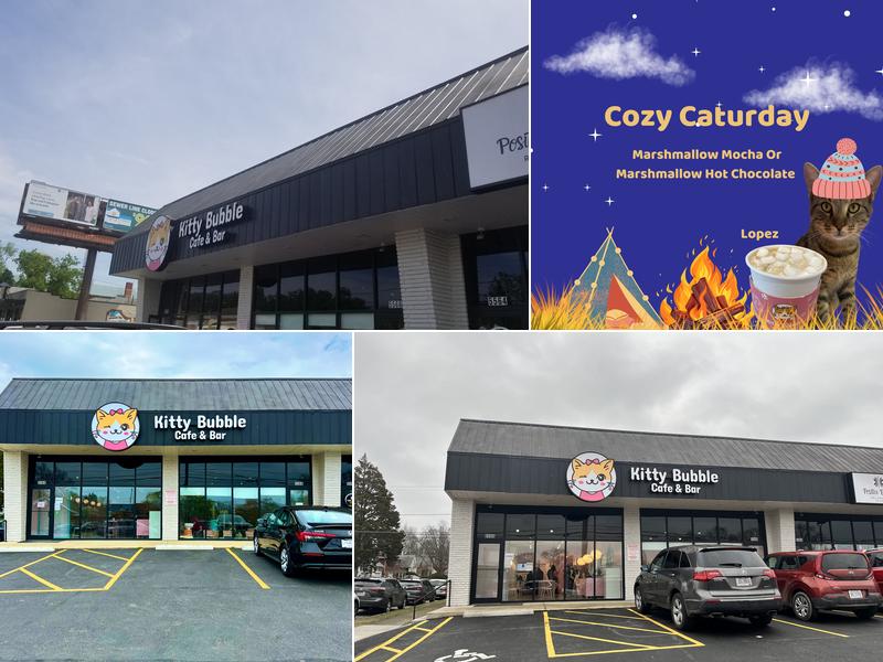 Kitty Bubble Cafe & Bar