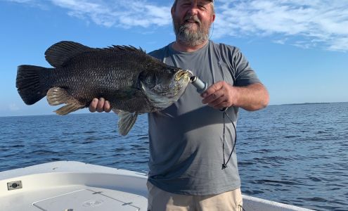 Suwannee Marina and Restaurant Suwannee