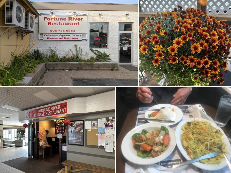 Fortune River 127 Brunswick St, St. George