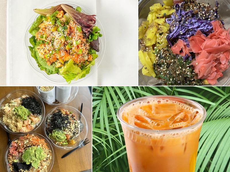 Pokemoto - White Plains