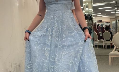 David's Bridal Fairview Heights IL