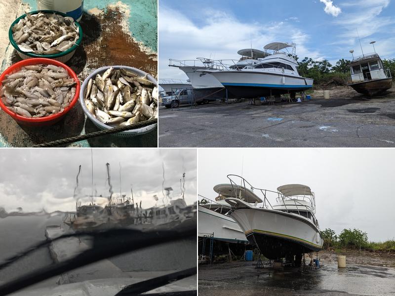 Allen C Williams Boatyard