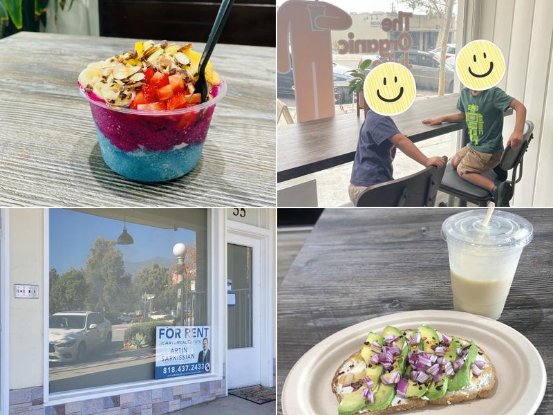 The Organic Juice Dude