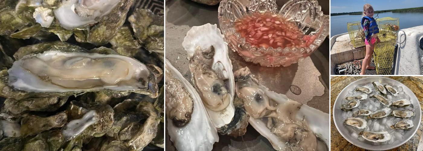 Captain Harry's Oysters & Shrimp