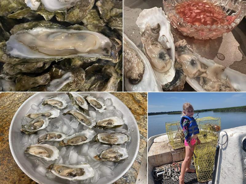 Captain Harry's Oysters & Shrimp