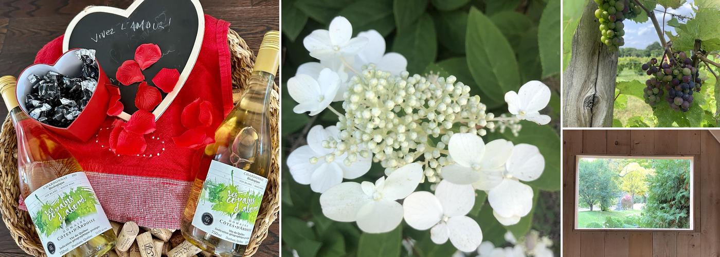 Domaine Cotes d'Ardoise - Winery & Cidery