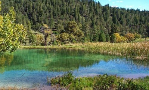 Javier Lerma: Allstate Insurance