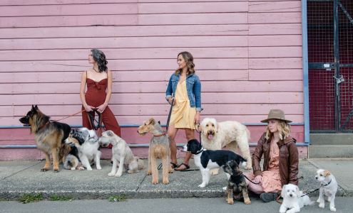 Dodge City Grooming Salon Ltd 2699 Dunsmuir Ave, Cumberland British Columbia V0R 1S0