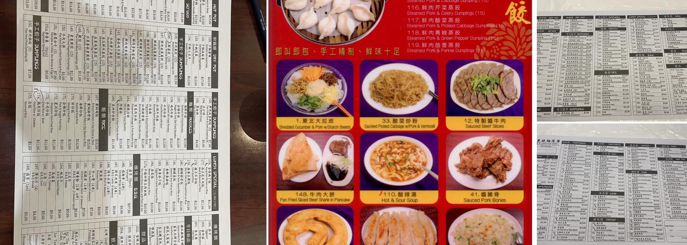 Chinese Dumpling house 真东北饺子馆 Menu