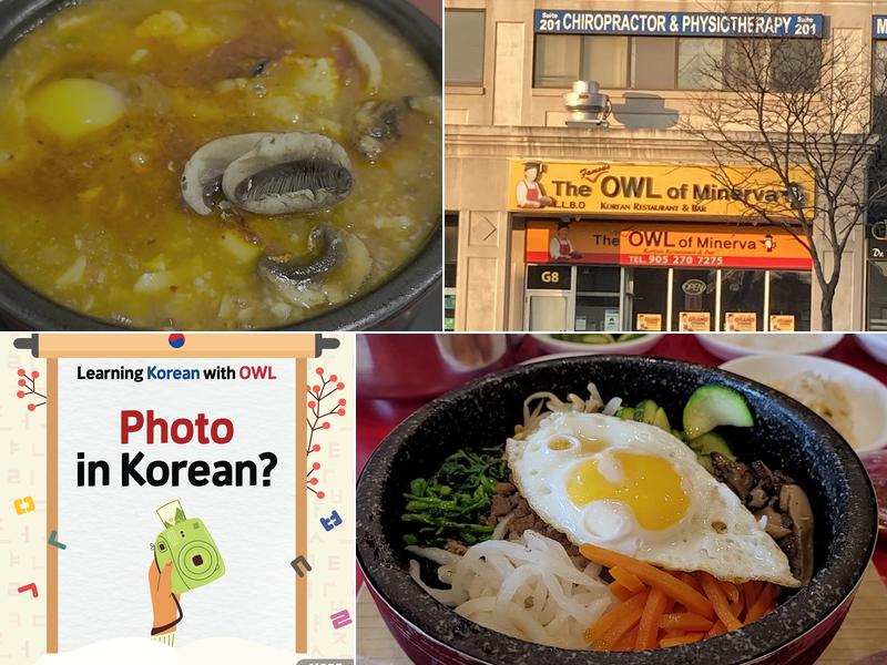 The Owl of Minerva Hurontario