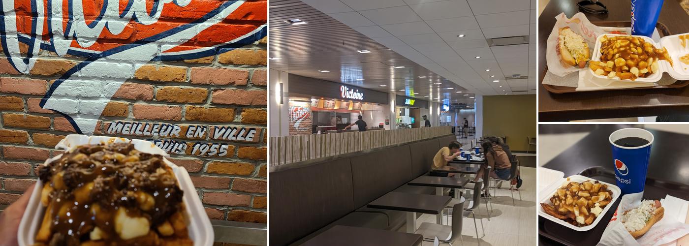 Chien Chaud Victoire