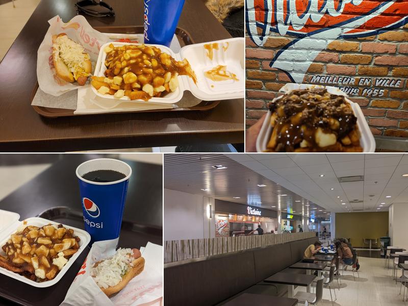 Chien Chaud Victoire