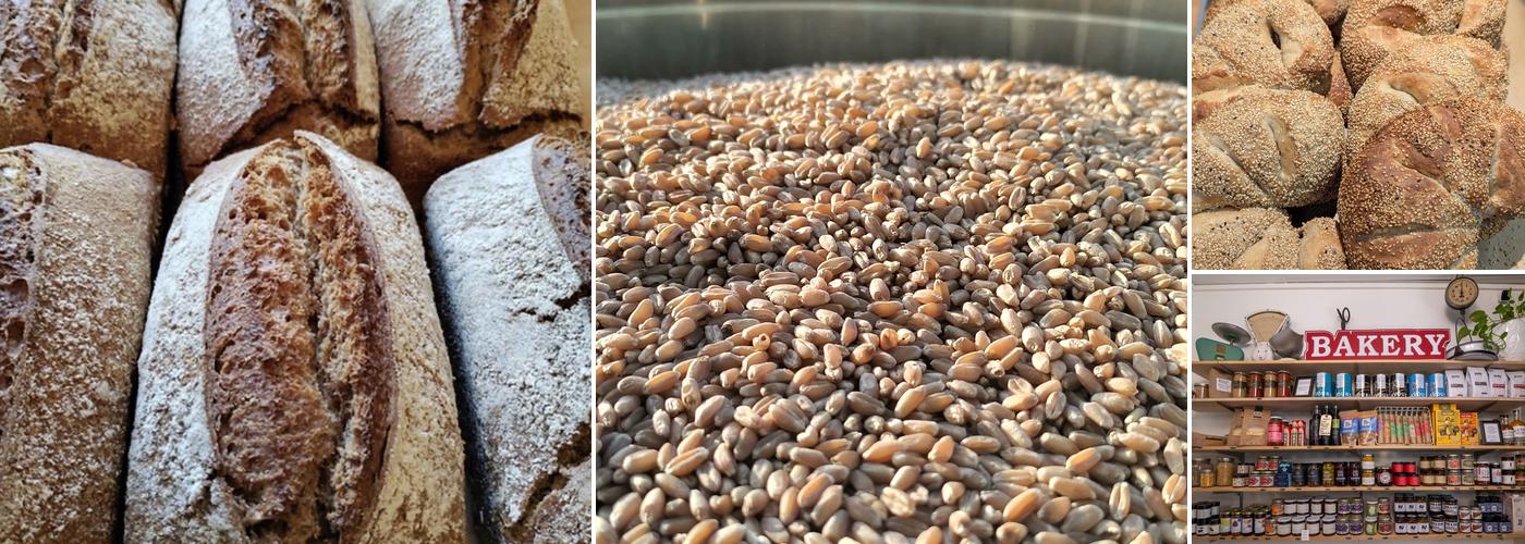 Bread and Flours - Bread Bakery Menu