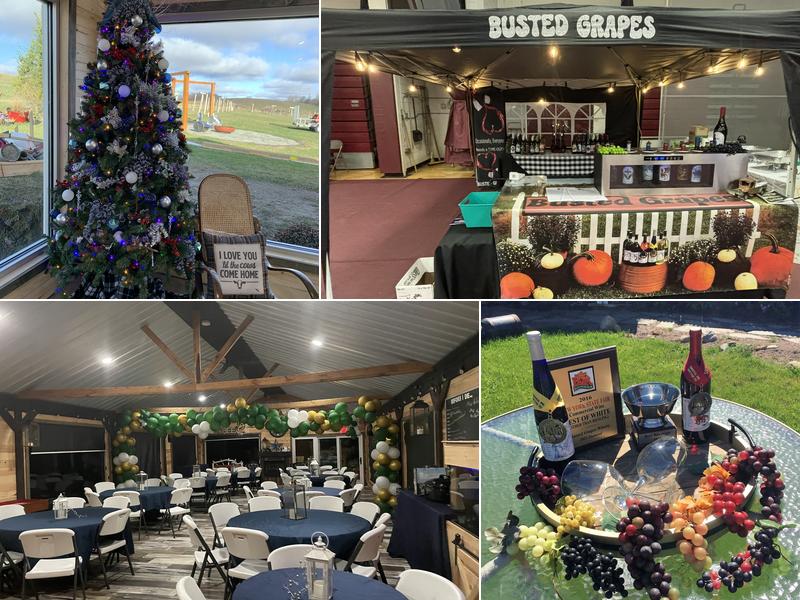 Busted Grapes 19557 Ball Rd, Black River