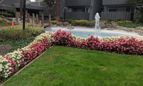 Cherrywood Apartments