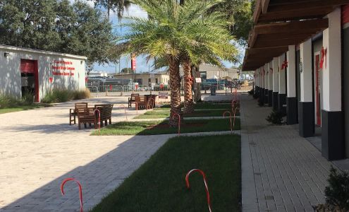 Tampa Hillsborough Action Plan, Inc.