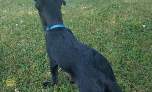 Ontario County Humane Society