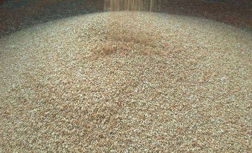 Stephens Land & Cattle Jennings