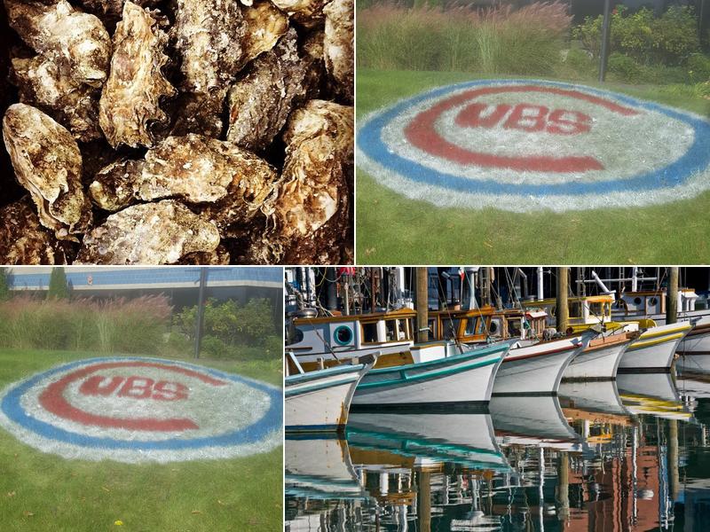 Seafood Merchants Ltd