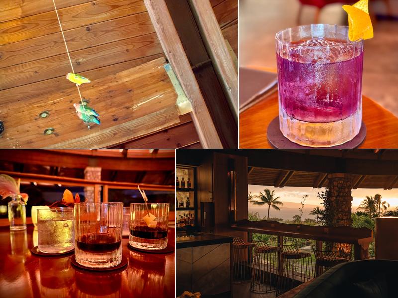 The Birdcage 555 Kaukahi St, Wailea