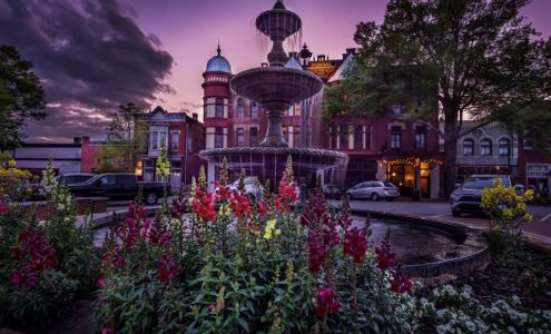 The Fitzpatrick Hotel