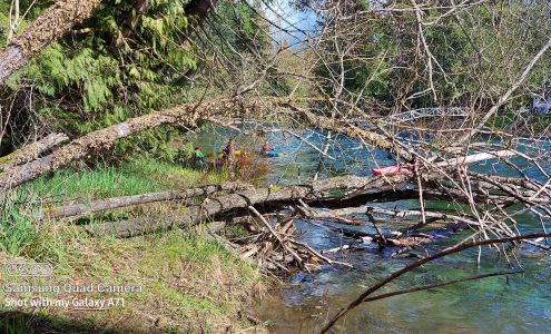 Cowichan Pet Emporium Lake Cowichan