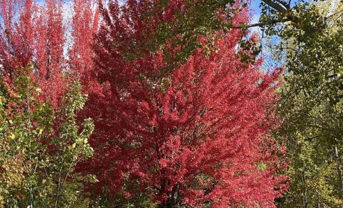 Oakwood Nursery & Garden Center