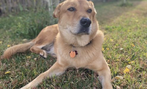 Humane Society of Moffat County