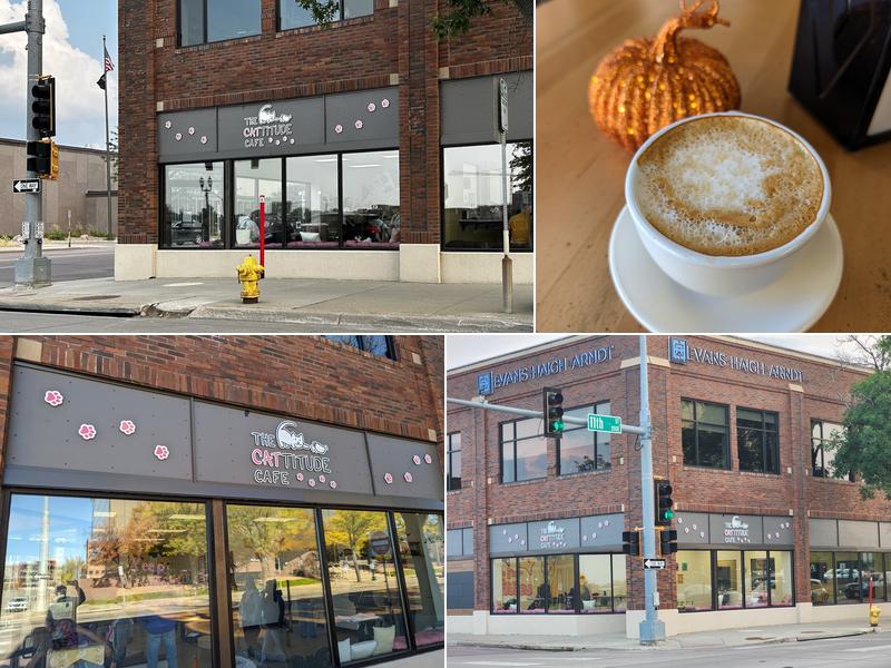 The Cattitude Café 225 E 11th St Suite #100, Sioux Falls