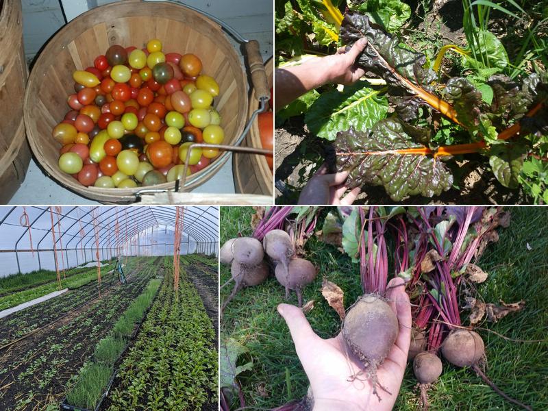 Whistling Thistle Farmstead