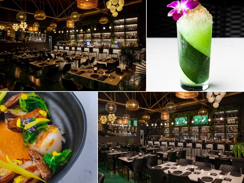 PARA Charlotte 235 W Tremont Ave Suite 100, Charlotte