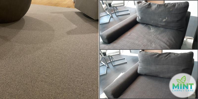 Mint Carpet Care