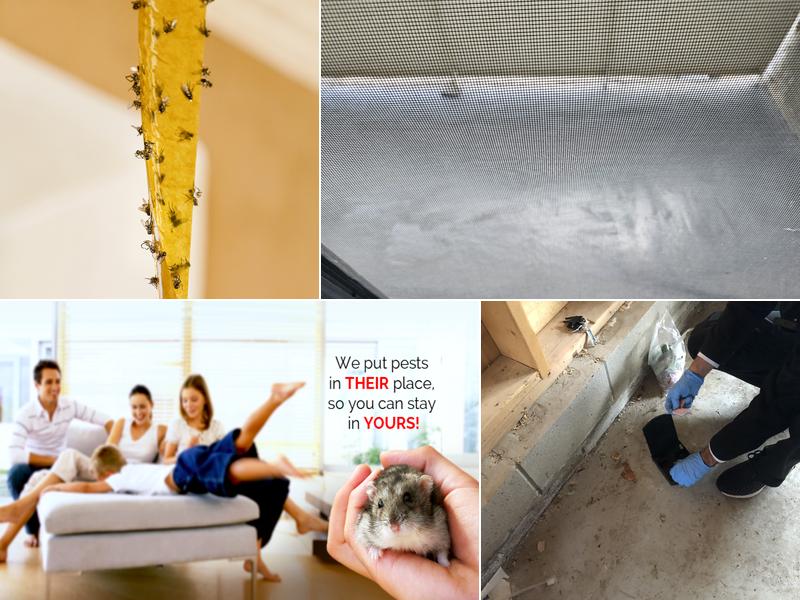 The HUG Group Pest Control