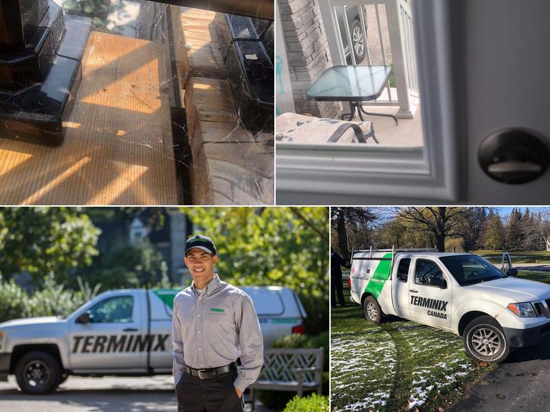 Terminix