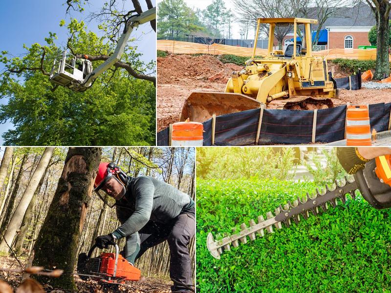 Top Cuts Tree Service & Landscaping
