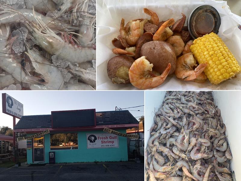 The Shrimp Lady 5523 US-43, Satsuma