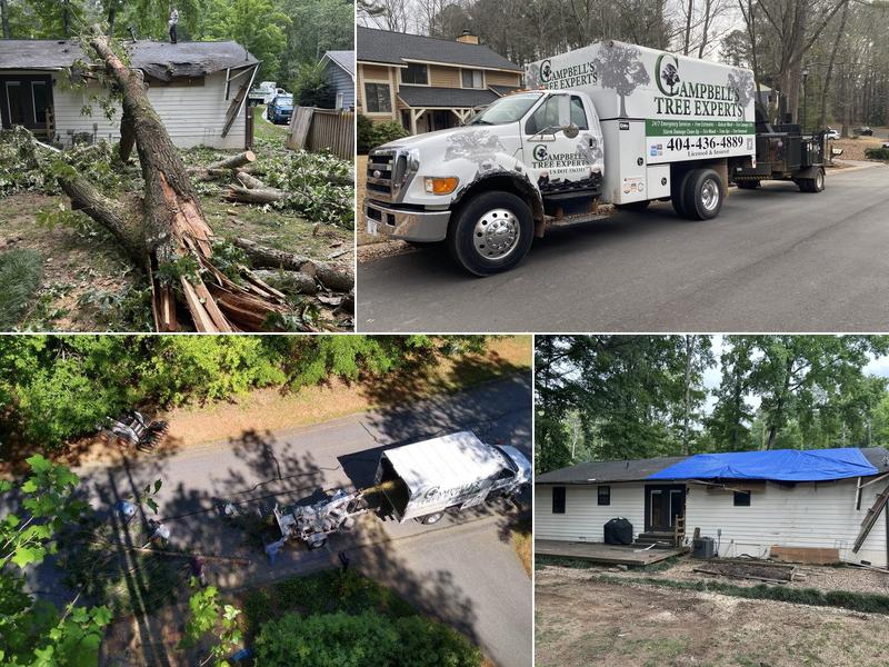 Campbell’s Tree Experts